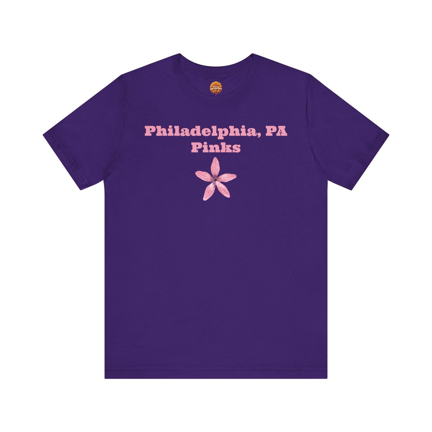 Philadelphia, PA Pinks Cheerleading T-shirt