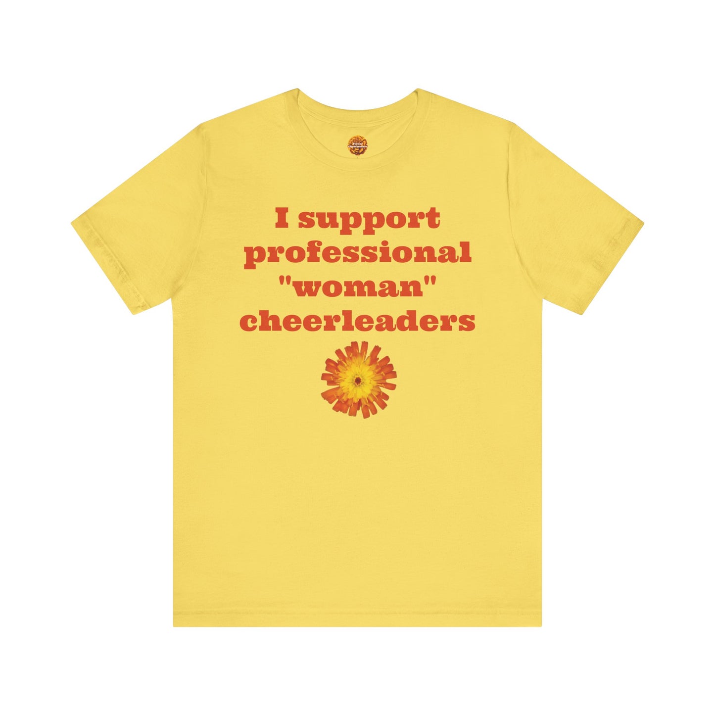 Alternate Denver, CO Paintbrushes Cheerleading T-shirt